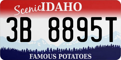 ID license plate 3B8895T
