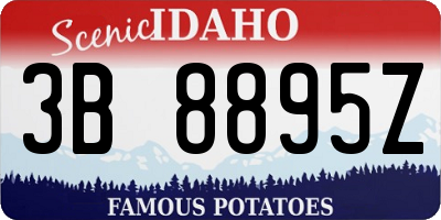 ID license plate 3B8895Z