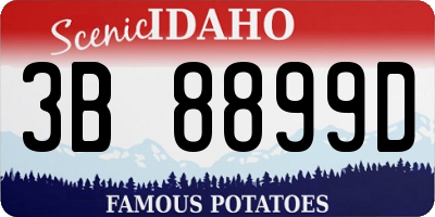 ID license plate 3B8899D
