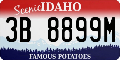 ID license plate 3B8899M