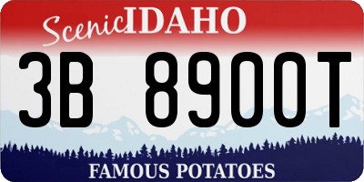 ID license plate 3B8900T