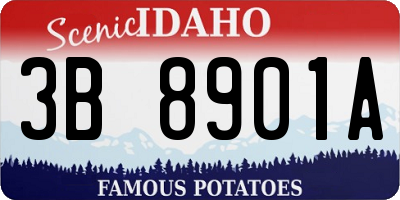 ID license plate 3B8901A