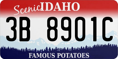 ID license plate 3B8901C