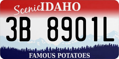 ID license plate 3B8901L