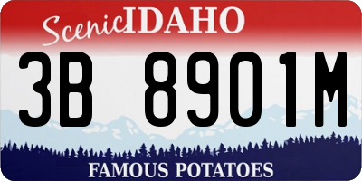 ID license plate 3B8901M