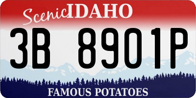 ID license plate 3B8901P