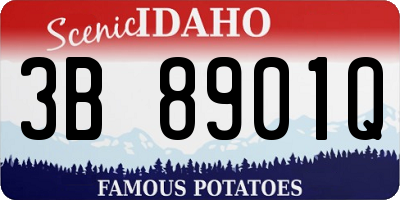ID license plate 3B8901Q