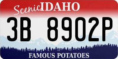 ID license plate 3B8902P