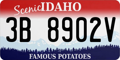 ID license plate 3B8902V