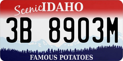 ID license plate 3B8903M