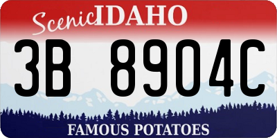ID license plate 3B8904C