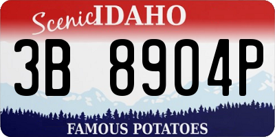 ID license plate 3B8904P
