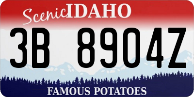 ID license plate 3B8904Z