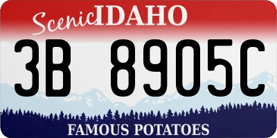 ID license plate 3B8905C