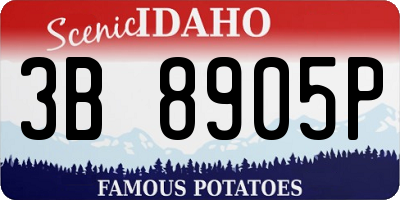 ID license plate 3B8905P