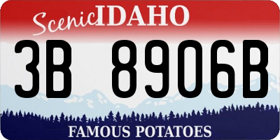 ID license plate 3B8906B