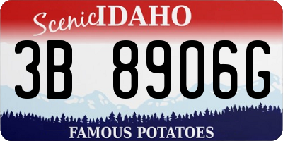 ID license plate 3B8906G