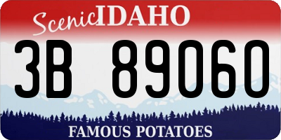 ID license plate 3B8906O