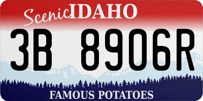 ID license plate 3B8906R