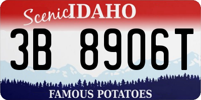 ID license plate 3B8906T