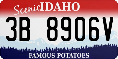 ID license plate 3B8906V