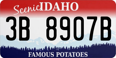 ID license plate 3B8907B