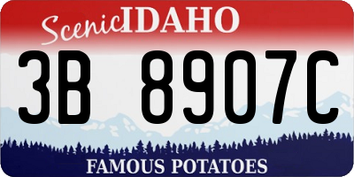 ID license plate 3B8907C