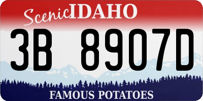 ID license plate 3B8907D