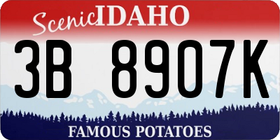 ID license plate 3B8907K