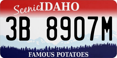 ID license plate 3B8907M
