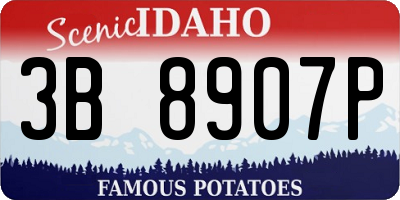 ID license plate 3B8907P