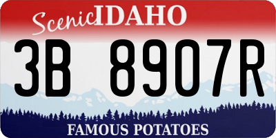 ID license plate 3B8907R