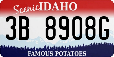 ID license plate 3B8908G