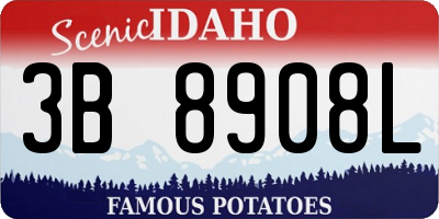 ID license plate 3B8908L