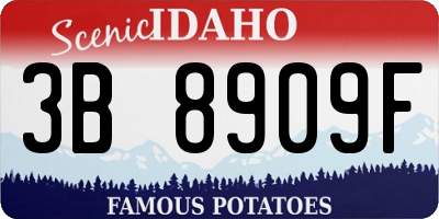 ID license plate 3B8909F