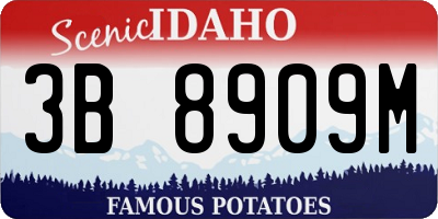 ID license plate 3B8909M