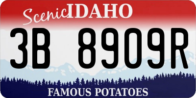 ID license plate 3B8909R