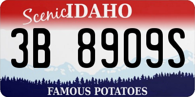 ID license plate 3B8909S