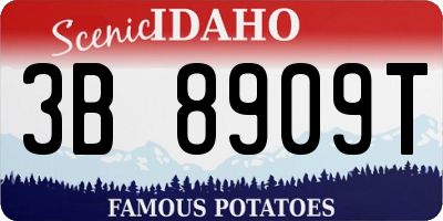 ID license plate 3B8909T