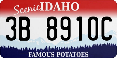 ID license plate 3B8910C