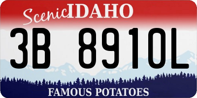 ID license plate 3B8910L