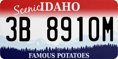 ID license plate 3B8910M