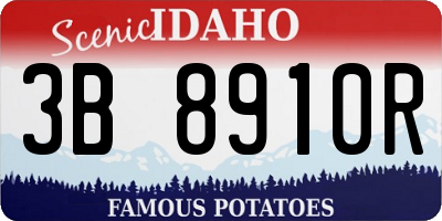 ID license plate 3B8910R