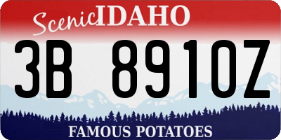 ID license plate 3B8910Z