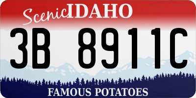 ID license plate 3B8911C