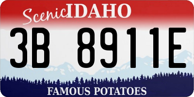 ID license plate 3B8911E