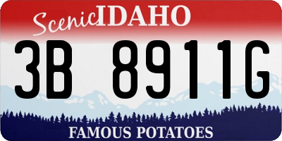ID license plate 3B8911G