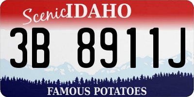 ID license plate 3B8911J