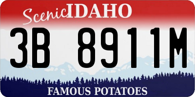 ID license plate 3B8911M