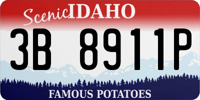 ID license plate 3B8911P